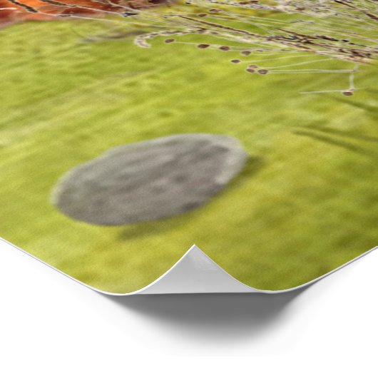 Engelse Springer Spaniels, kunst Poster (Hoek)