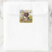 Engelse Springer Spaniels, kunst Vierkante Sticker (Tas)