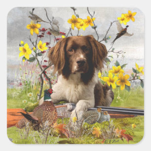 Engelse Springer Spaniels, kunst Vierkante Sticker