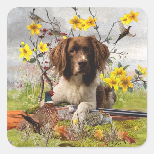 Engelse Springer Spaniels, kunst Vierkante Sticker (Voorkant)