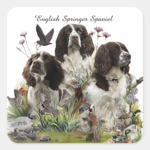 Engelse Springer Spaniels, kunst Vierkante Sticker