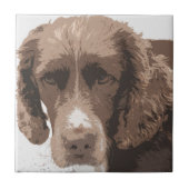 Engelse Springer Tegeltje (Voorkant)