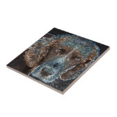 Engelse Springer Tegeltje (Zijkant)