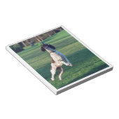 engelse springer vangball.png notitieblok (Schuin)