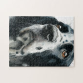 Engelse springerspaniel portret met ticking legpuzzel (Horizontaal)