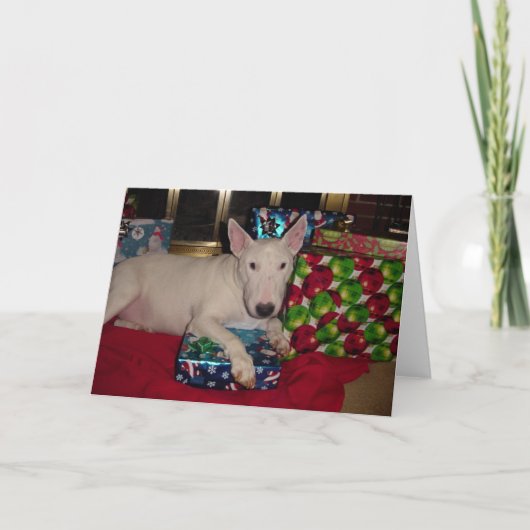 engelse stier doodsbang kerstcadeau fireplace feestdagen kaart (Voorkant)