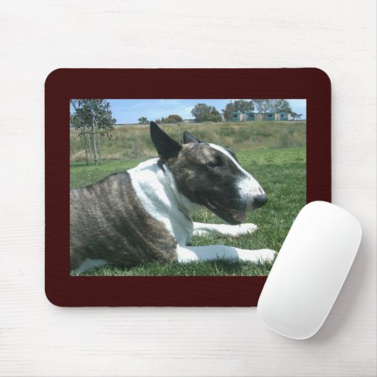 Engelse stier muismat (Met muis)