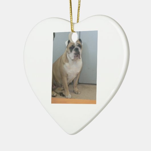 Engelse stierenhonden keramisch ornament (Links)