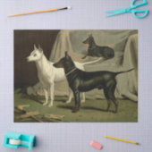  Engelse Terriers Tissuepapier (Craft)