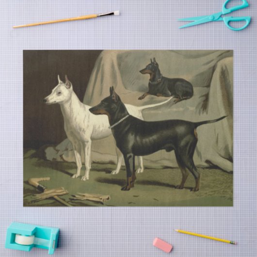 Engelse Terriers Tissuepapier (Craft)