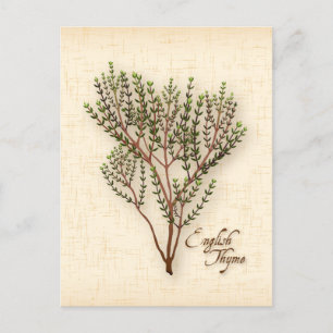 Engelse Thyme Herb-Briefkaart aanpassen Briefkaart