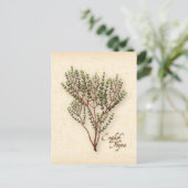 Engelse Thyme Herb-Briefkaart aanpassen Briefkaart (Staand voorkant)