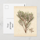 Engelse Thyme Herb-Briefkaart aanpassen Briefkaart (Voorkant / Achterkant)