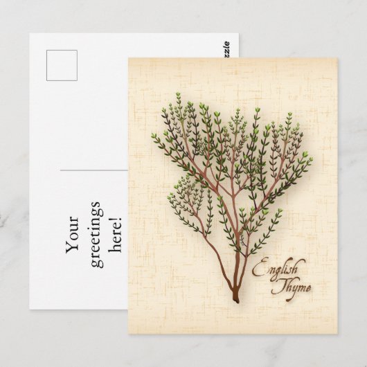 Engelse Thyme Herb-Briefkaart aanpassen Briefkaart (Voorkant / Achterkant)