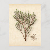 Engelse Thyme Herb-Briefkaart aanpassen Briefkaart (Voorkant)