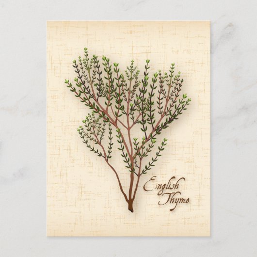 Engelse Thyme Herb-Briefkaart aanpassen Briefkaart (Voorkant)