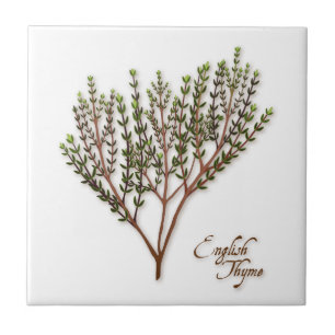 Engelse Thyme Herb Ceramic Tegel Tegeltje