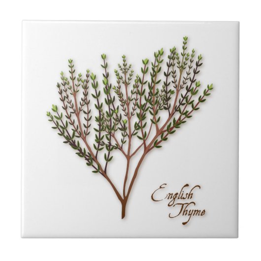 Engelse Thyme Herb Ceramic Tegel Tegeltje (Voorkant)