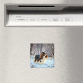 Engelse Toy Spaniel Laat het Sneeuwen Kerstmis Magneet (Insitu (Vaatwasser))