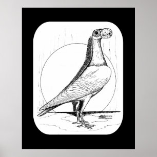 Engelse transporteur Pigeon1978 Poster