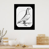 Engelse transporteur Pigeon1978 Poster (Keuken)