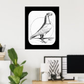 Engelse transporteur Pigeon1978 Poster (Thuiskantoor)