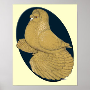 Engelse trompetduif: geel ovaal poster