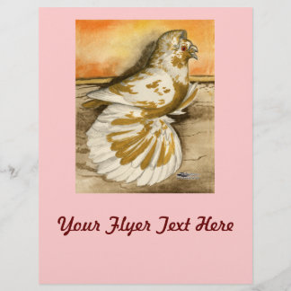 Engelse Trompetter Duif Gele Spat Flyer