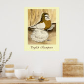 Engelse trompettist Duif Yellow Magpie Poster (Keuken)