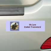 Engelse trompettist Pigeon Blue Lijst Bumpersticker (Op auto)