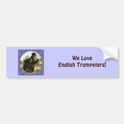Engelse trompettist Pigeon Blue Lijst Bumpersticker (Voorkant)