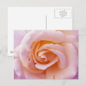 Engelse tuinschilder en roze roze roze roze briefkaart (Voorkant / Achterkant)