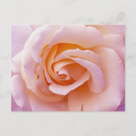 Engelse tuinschilder en roze roze roze roze briefkaart
