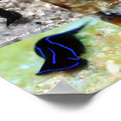 Engelse versie: Jewels of under Water Siquijor Poster (Hoek)