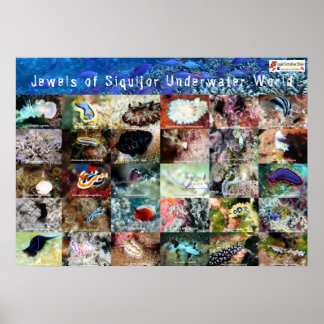 Engelse versie: Jewels of under Water Siquijor Poster