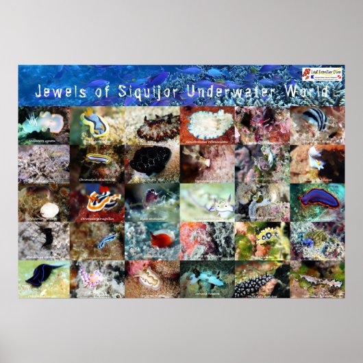 Engelse versie: Jewels of under Water Siquijor Poster (Voorkant)