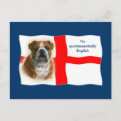 Engelse vlag en Briefkaart van bulldog (Voorkant)