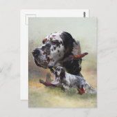 Engelse zetter met fazanten, kunst briefkaart (Voorkant / Achterkant)
