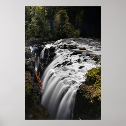 Engelsman Herfsten British Columbia Poster (Voorkant)