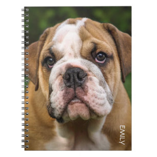 Engelstalig Bulldog Dog - gepersonaliseerd noteboo Notitieboek