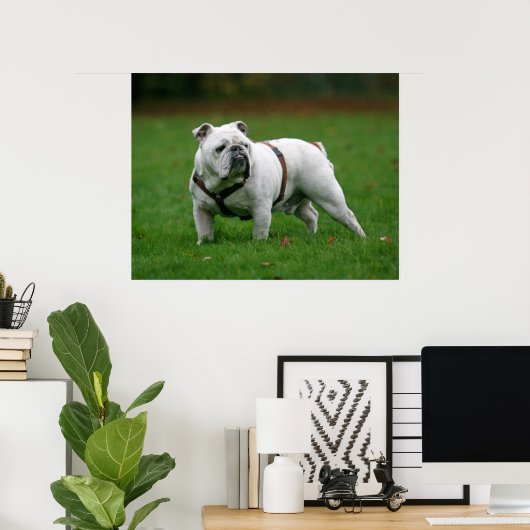 Engelstalige bulldog poster print (Thuiskantoor)