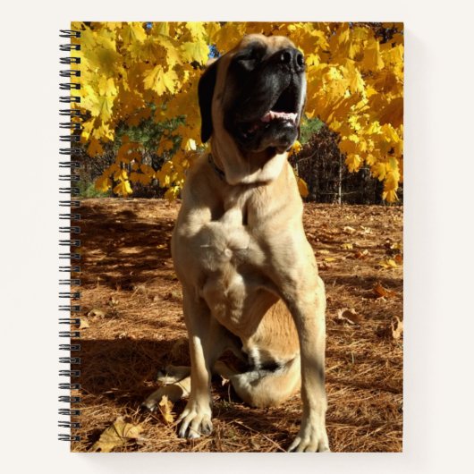 Engelstalige laptop van Mastiff Notitieboek (Voorkant)