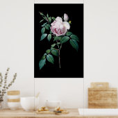 Engelstalige roze roze roze roos van de zwarte ach poster (Keuken)