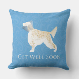 Engelstalige setter krijgt snel weer een beetje kussen