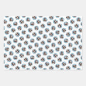 Engelstalige spaniel-schilderkunst inpakpapier vel (Voorkant 2)