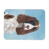 Engelstalige spaniel-schilderkunst magneet (Horizontaal)