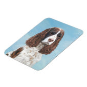 Engelstalige spaniel-schilderkunst magneet (Linkerzijde)