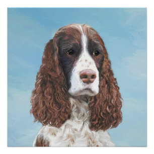 Engelstalige spaniel-schilderkunst perfect poster