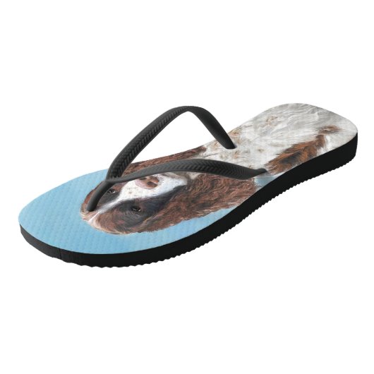 Engelstalige spaniel-schilderkunst teenslippers (Schuin)