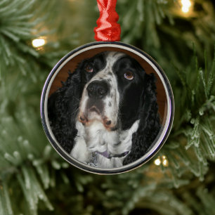 Engelstalige speciale foto van Springer Spaniel Metalen Ornament